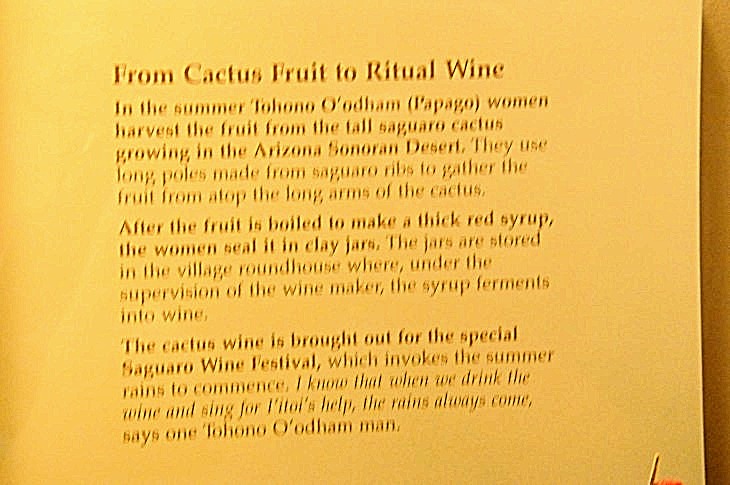 2015-7-29carnegiemuseum 778_01.JPG