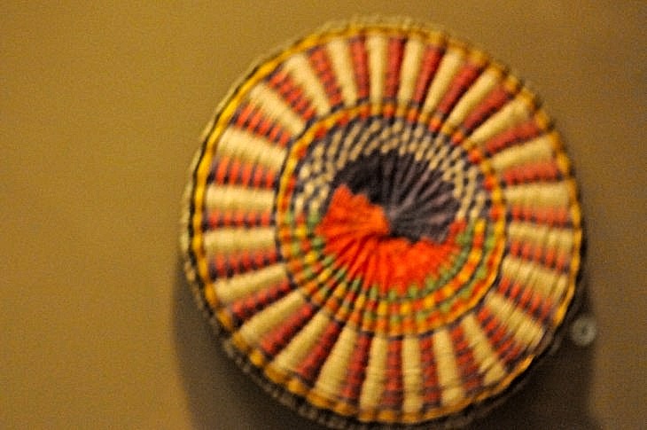 2015-7-29carnegiemuseum 698_01.JPG