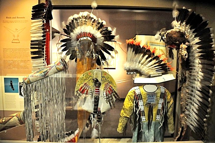 2015-7-29carnegiemuseum 608_01.JPG