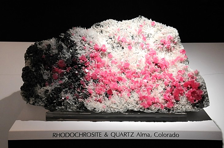 2015-7-29carnegiemuseum 1117_01.JPG