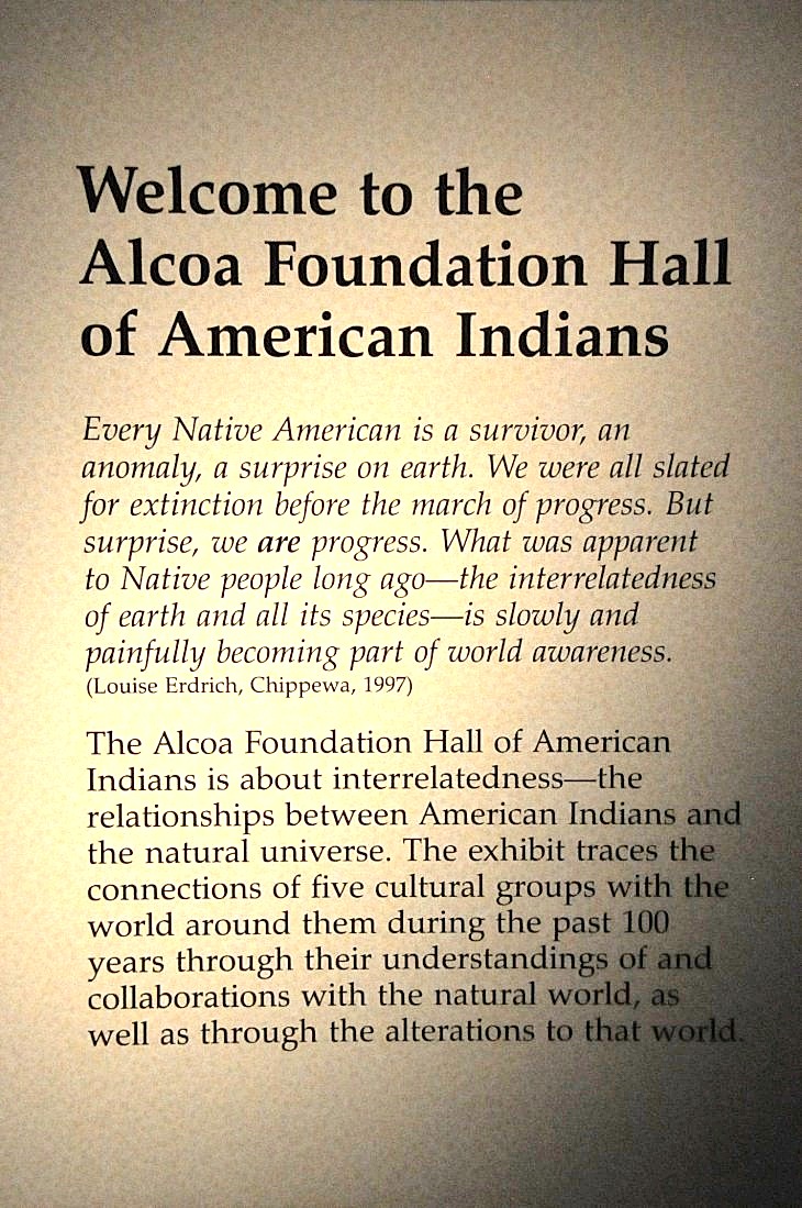 2015-7-29carnegiemuseum 727_01.JPG