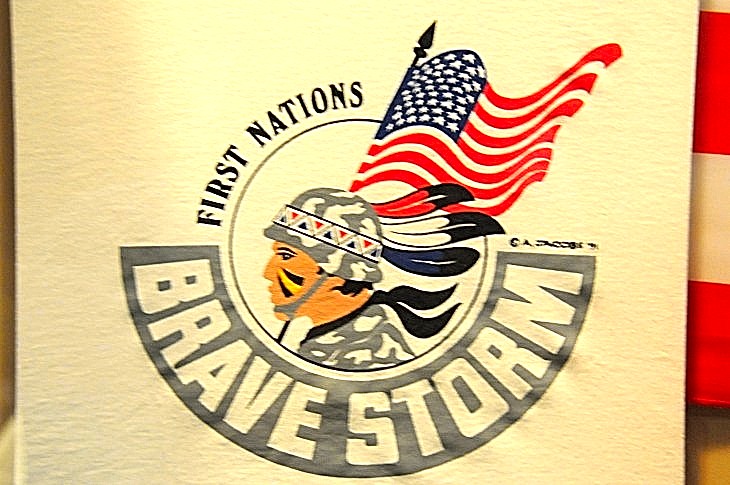 2015-7-29carnegiemuseum 619_01.JPG