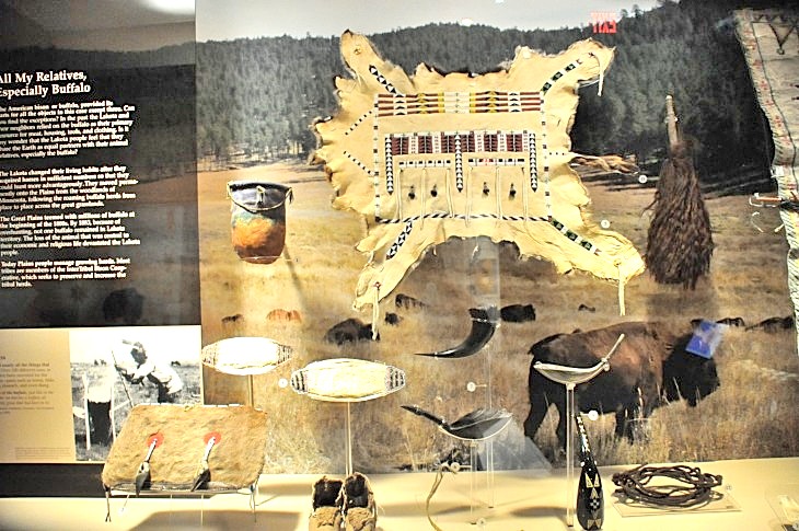 2015-7-29carnegiemuseum 646_01.JPG