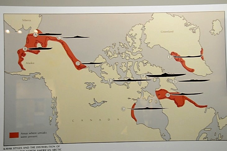 2015-7-29carnegiemuseum 554_01.JPG