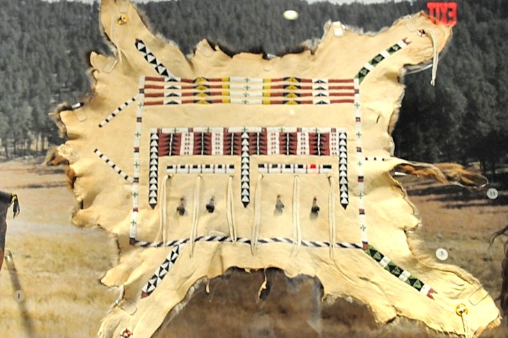 2015-7-29carnegiemuseum 649_01.JPG