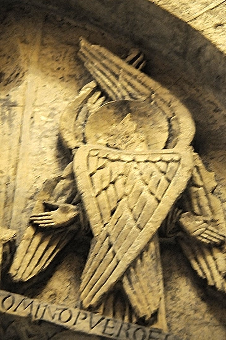 2015-7-29carnegiemuseum 1032_01.JPG