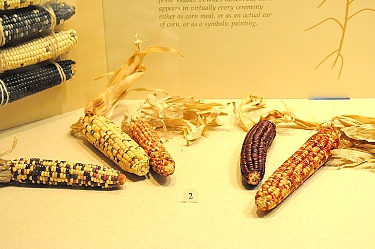 2015-7-29carnegiemuseum 704_01.JPG