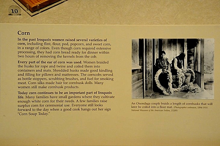 2015-7-29carnegiemuseum 790_01.JPG