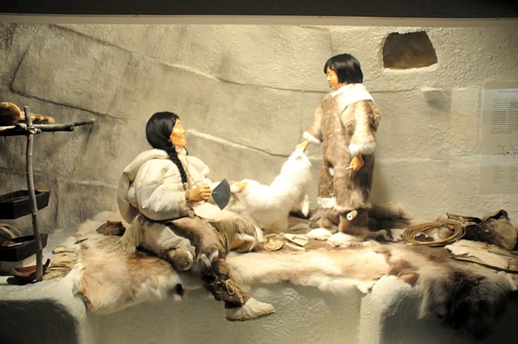 2015-7-29carnegiemuseum 793_01.JPG