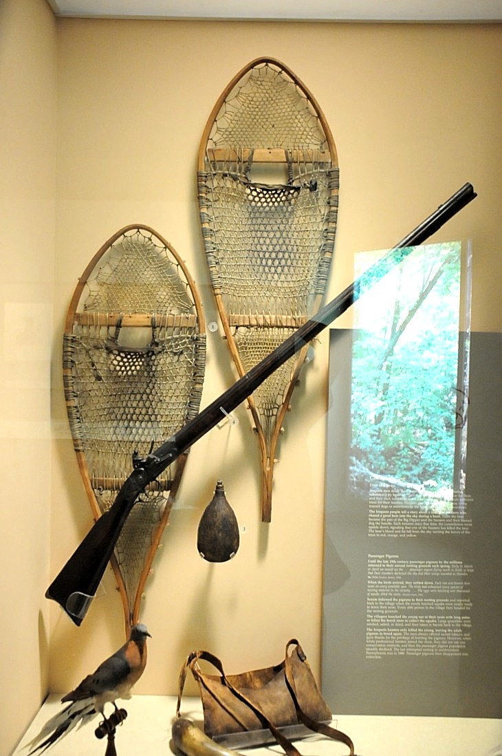 2015-7-29carnegiemuseum 574_01.JPG