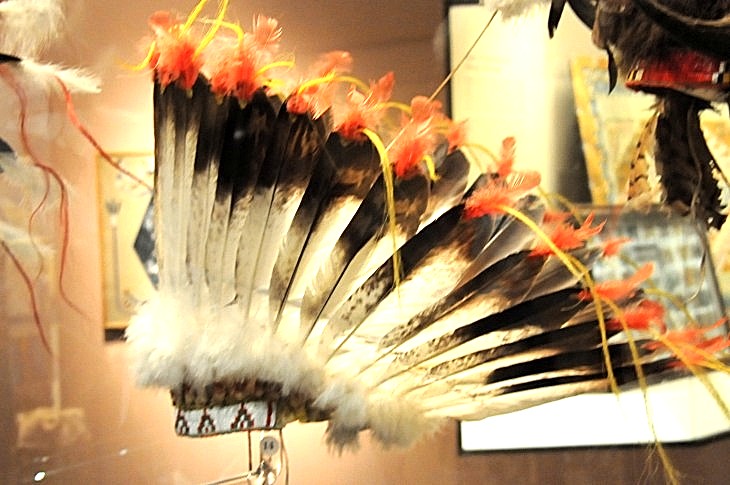 2015-7-29carnegiemuseum 614_01.JPG