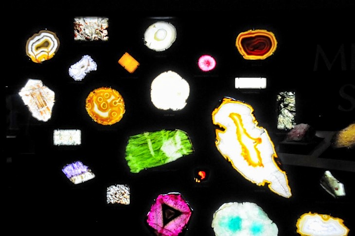 2015-7-29carnegiemuseum 1115_01.JPG