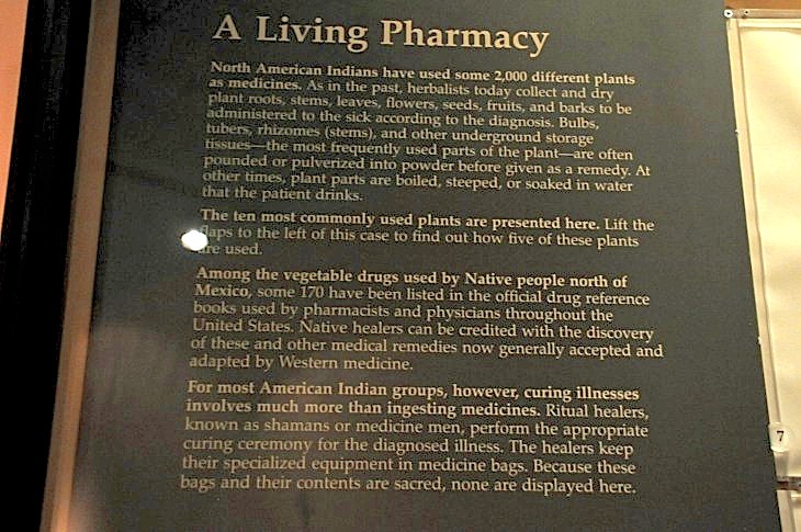 2015-7-29carnegiemuseum 756_01.JPG