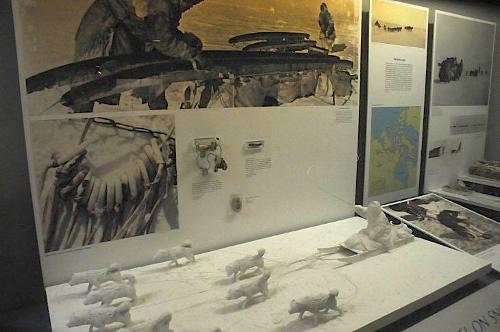 2015-7-29carnegiemuseum 557_01.JPG