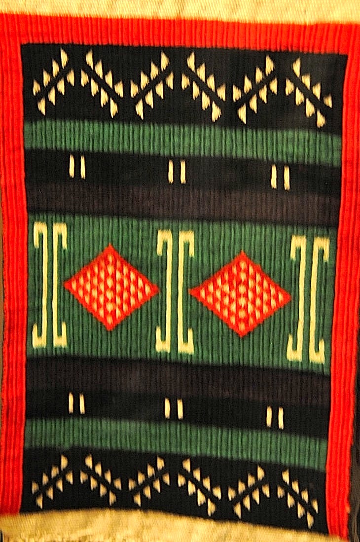 2015-7-29carnegiemuseum 693_01.JPG