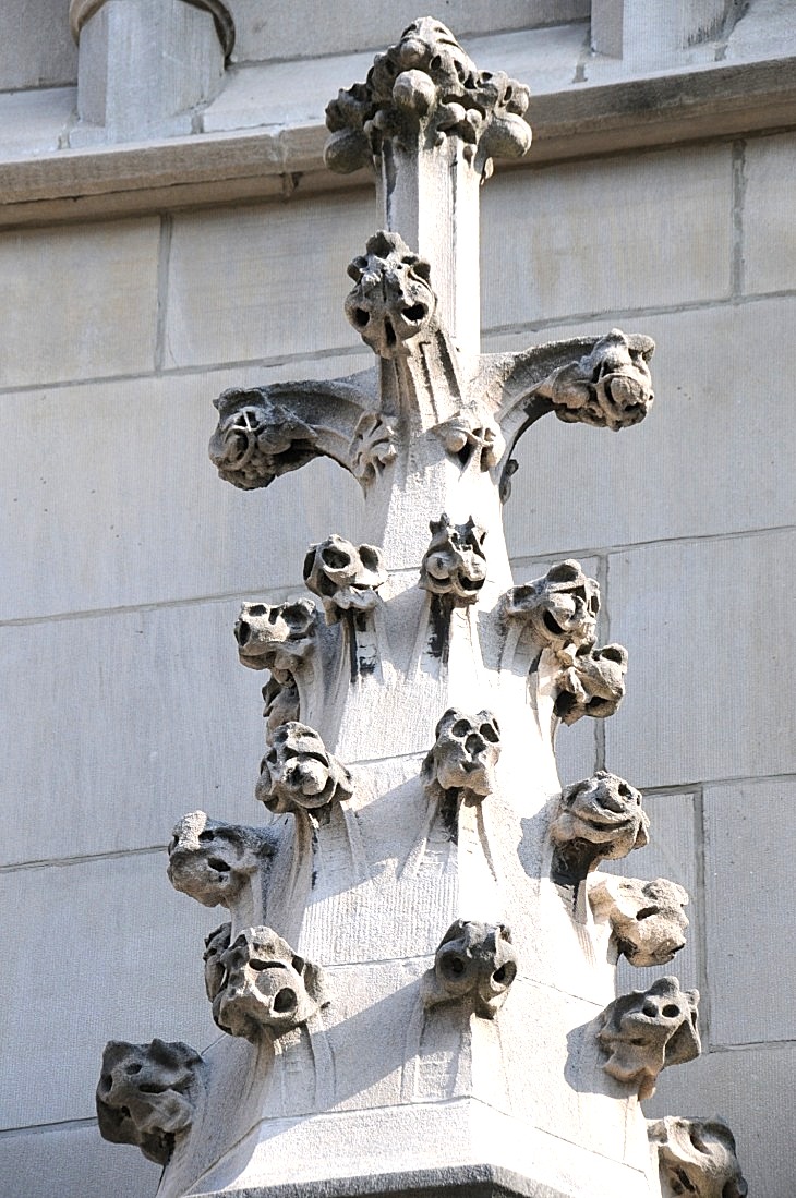 2015-7-29carnegiemuseum 055_01.JPG