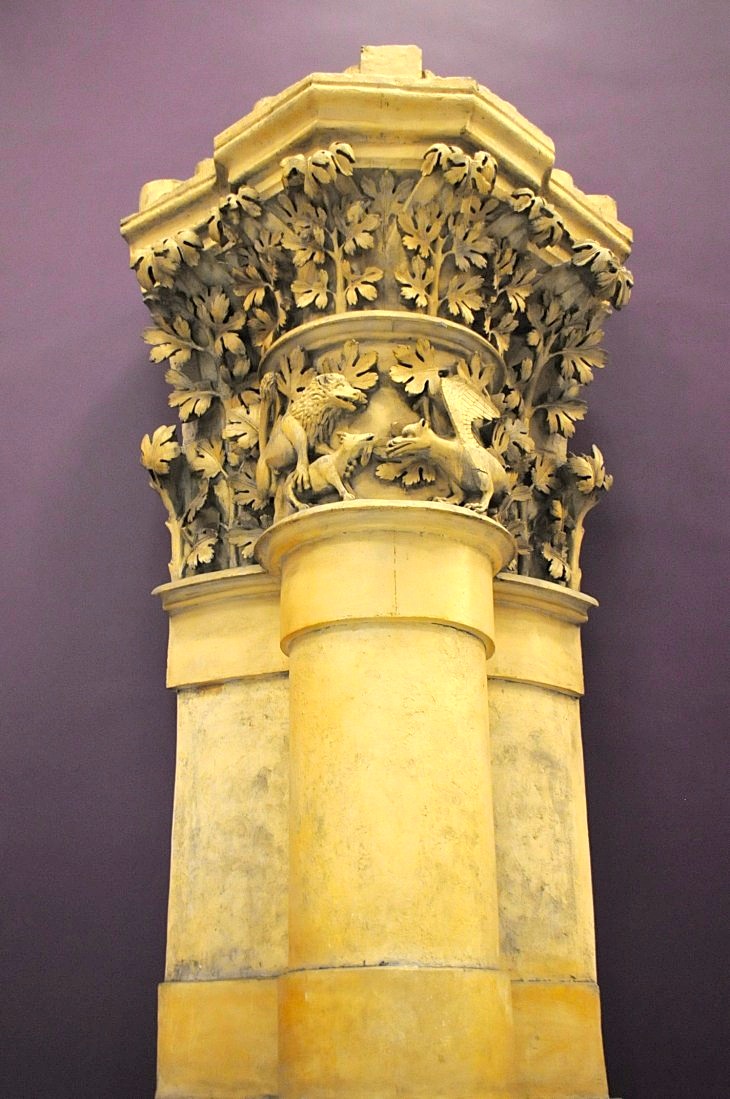 2015-7-29carnegiemuseum 1057_01.JPG