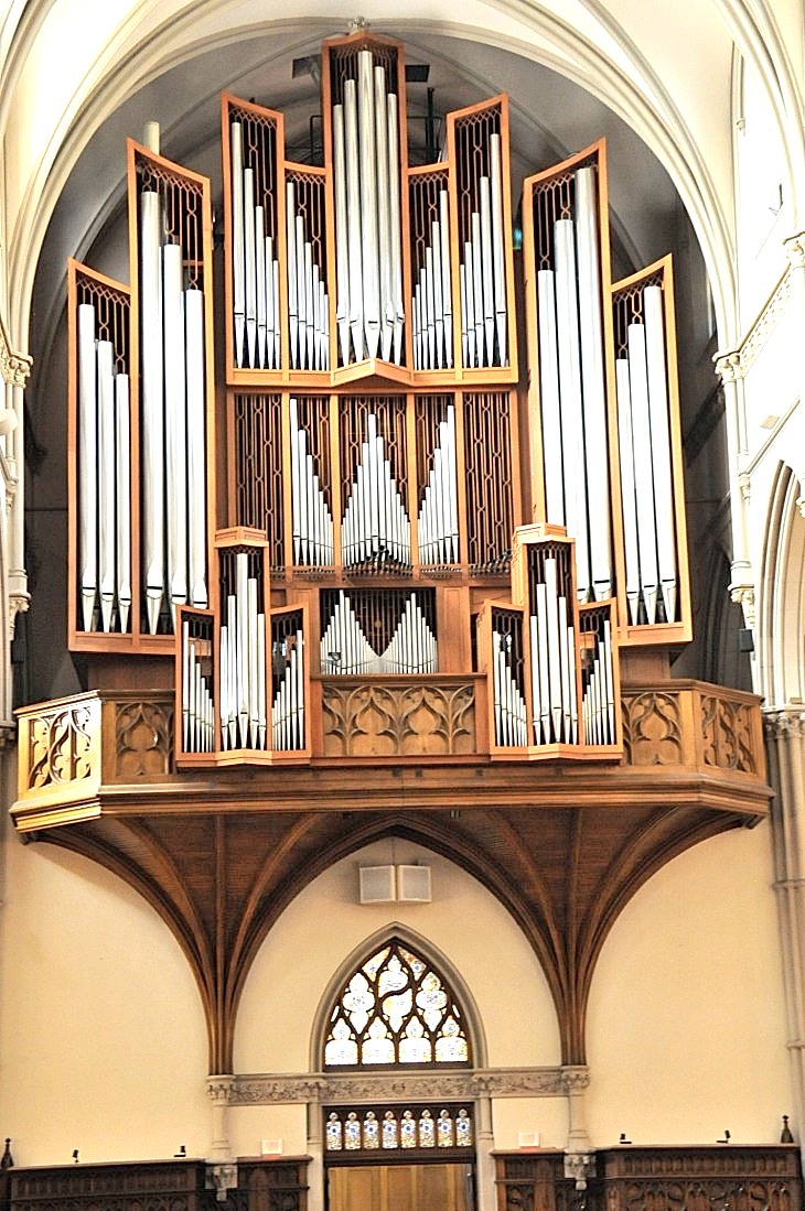 2015-7-29carnegiemuseum 043_01.JPG