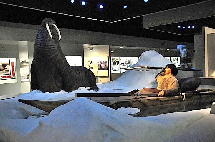 2015-7-29carnegiemuseum 821_01.JPG