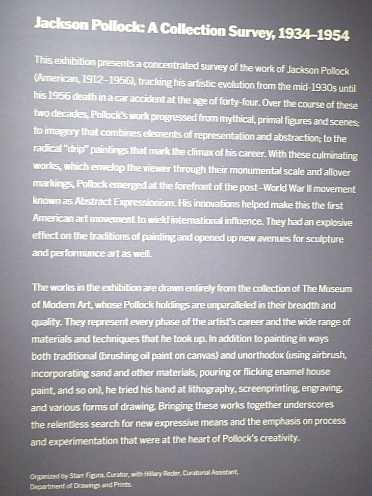 2015-12-13moma 002_01.JPG