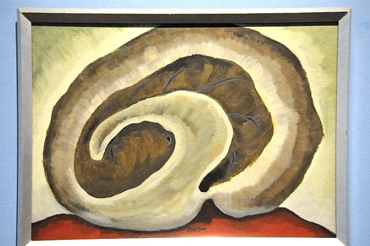 2016-2-15miamiartshow2 899_01.JPG