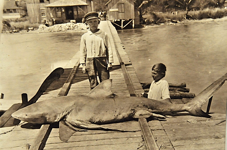 2016-2-15miamiartshow2 801_01.JPG