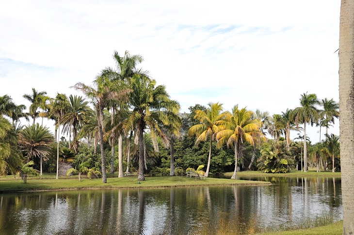 2016-2-15miamiartshow2 1589_01.JPG