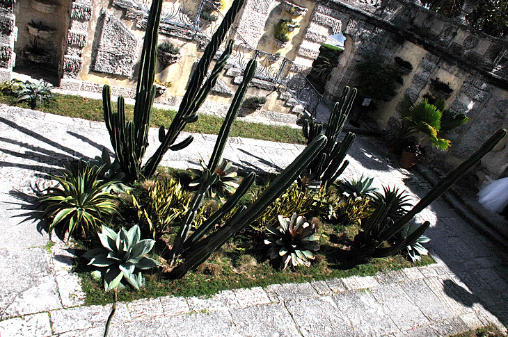 2016-2-15miamiartshow2 561_01.JPG