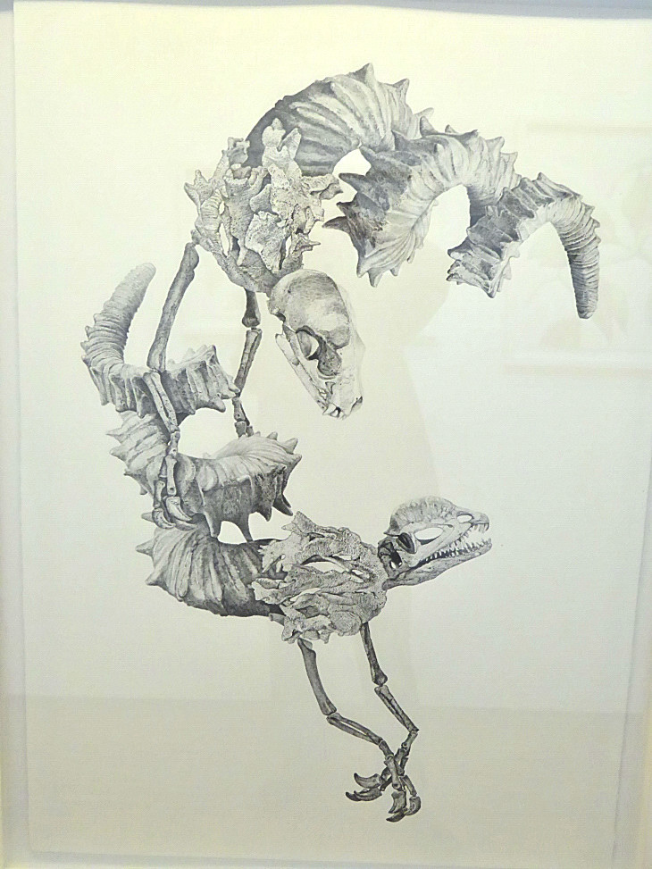 2016-2-15miamiartshow1 677_01.JPG