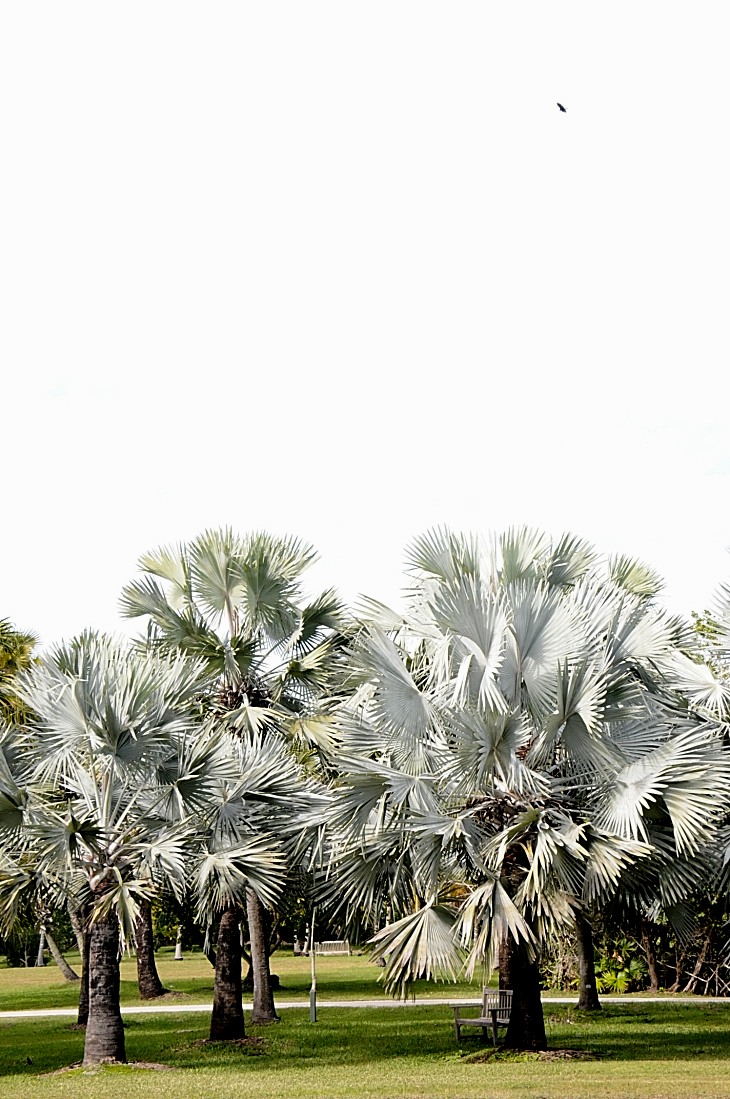 2016-2-15miamiartshow2 1593_01.JPG