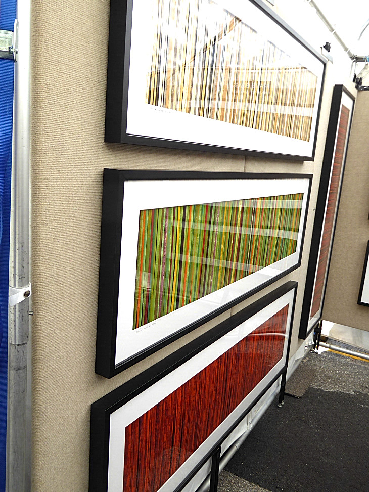 2016-2-15miamiartshow1 972_01.JPG