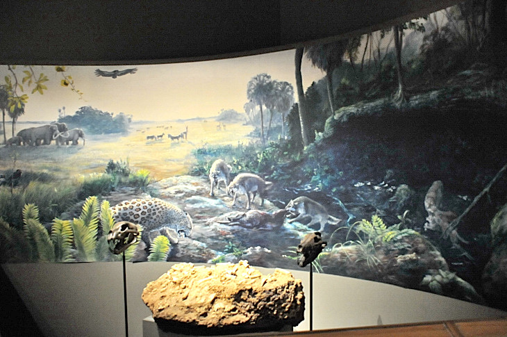 2016-2-15miamiartshow2 681_01.JPG