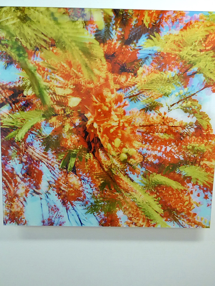 2016-2-15miamiartshow1 601_01.JPG