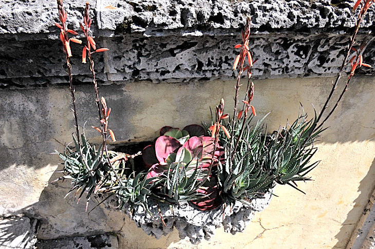 2016-2-15miamiartshow2 556_01.JPG