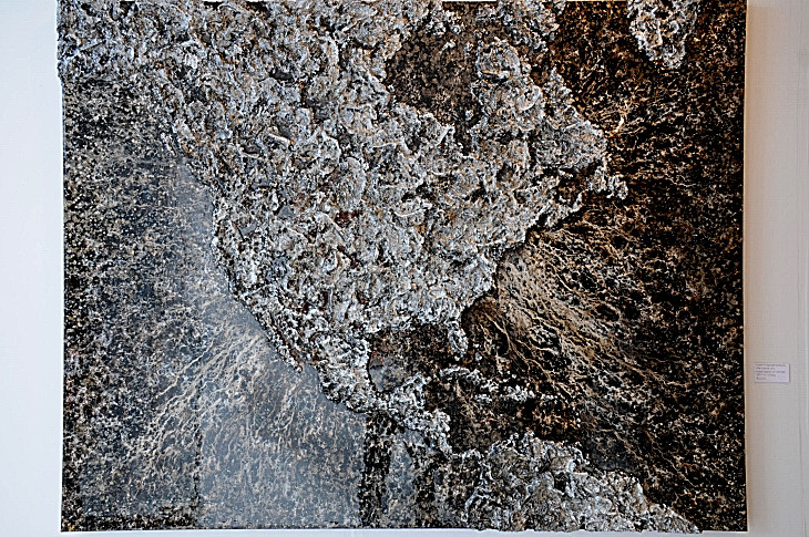2016-2-15miamiartshow2 2579_01.JPG