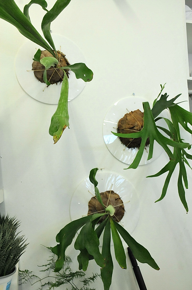 2016-2-15miamiartshow2 420_01.JPG