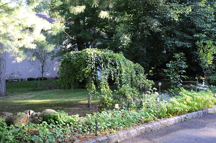 DSC_7834_01.JPG