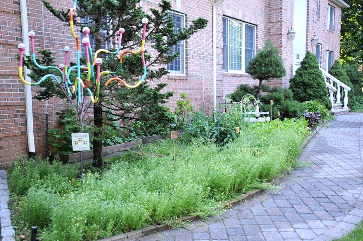 DSC_7837_01.JPG
