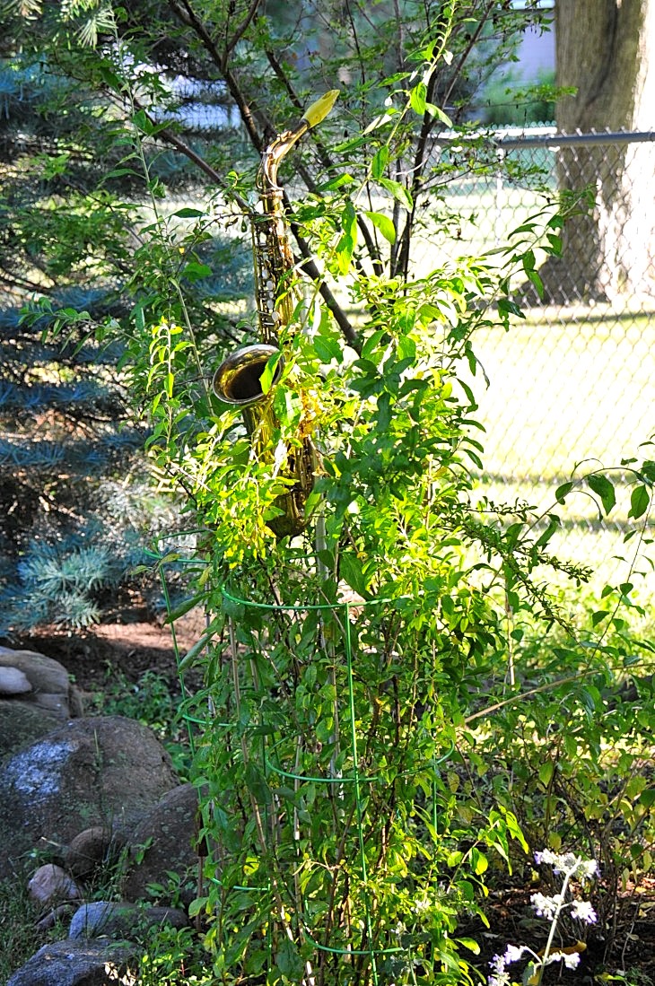 DSC_7810_01.JPG