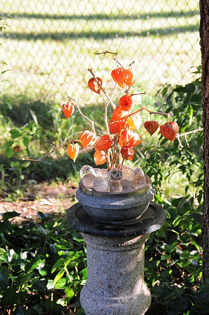 DSC_7811_01.JPG