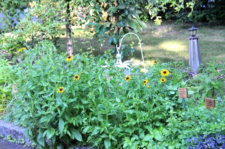 DSC_7827_01.JPG