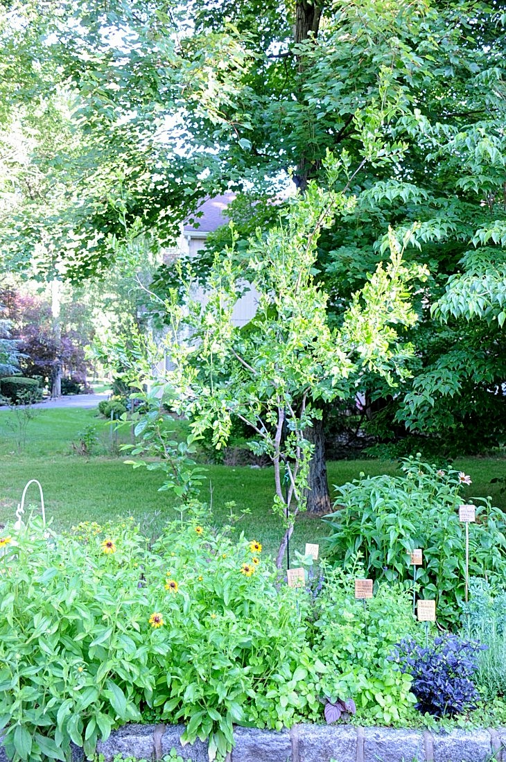 DSC_7836_01.JPG