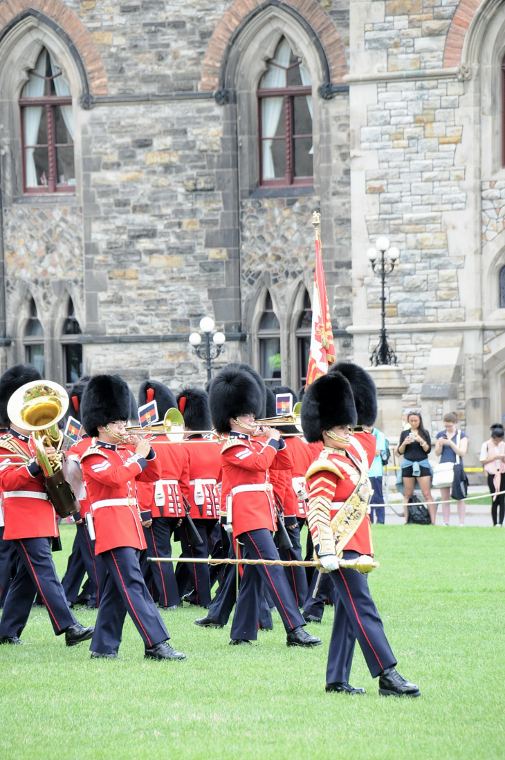 2016-7-25canadaherb 189_01.JPG