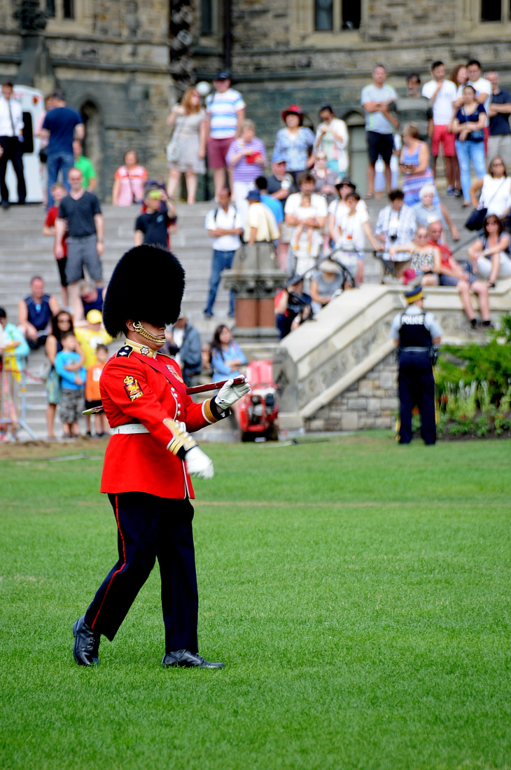 2016-7-25canadaherb 153_01.JPG