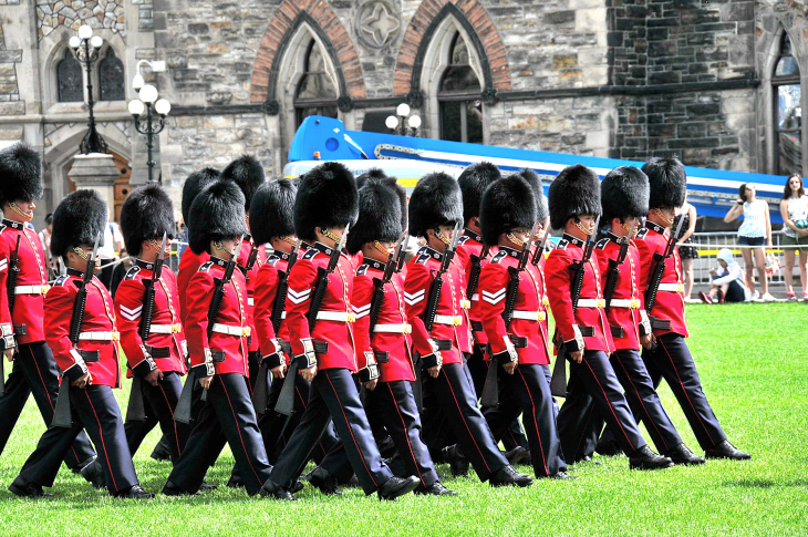 2016-7-25canadaherb 221_01.JPG