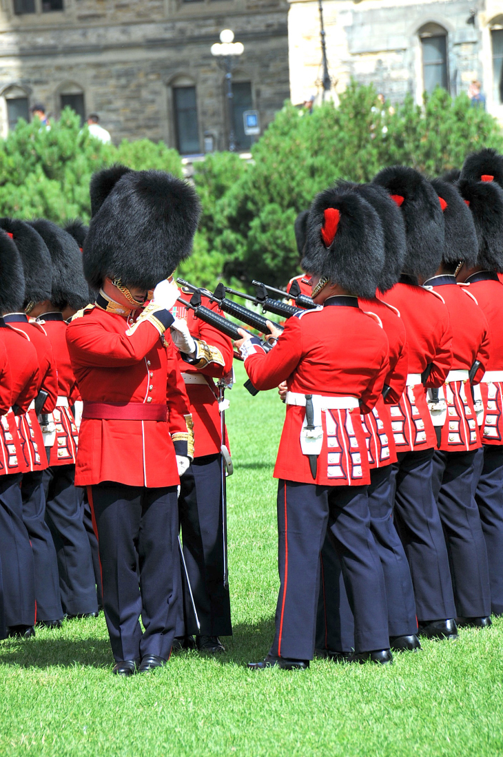 2016-7-25canadaherb 167_01.JPG