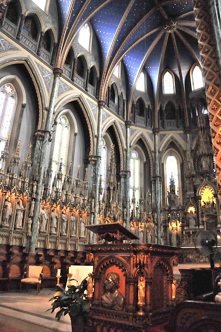 2016-7-25canadaherb 253_01.JPG