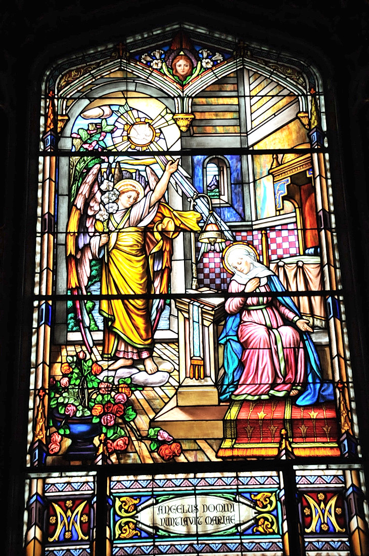 2016-7-25canadaherb 243_01.JPG