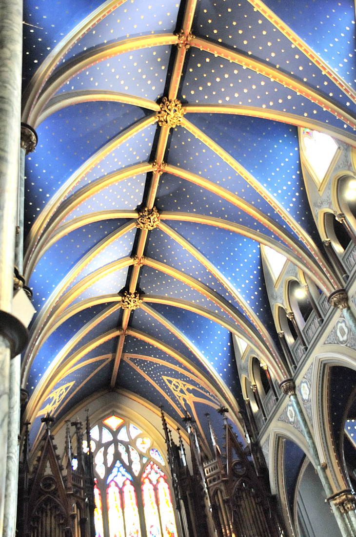 2016-7-25canadaherb 265_01.JPG