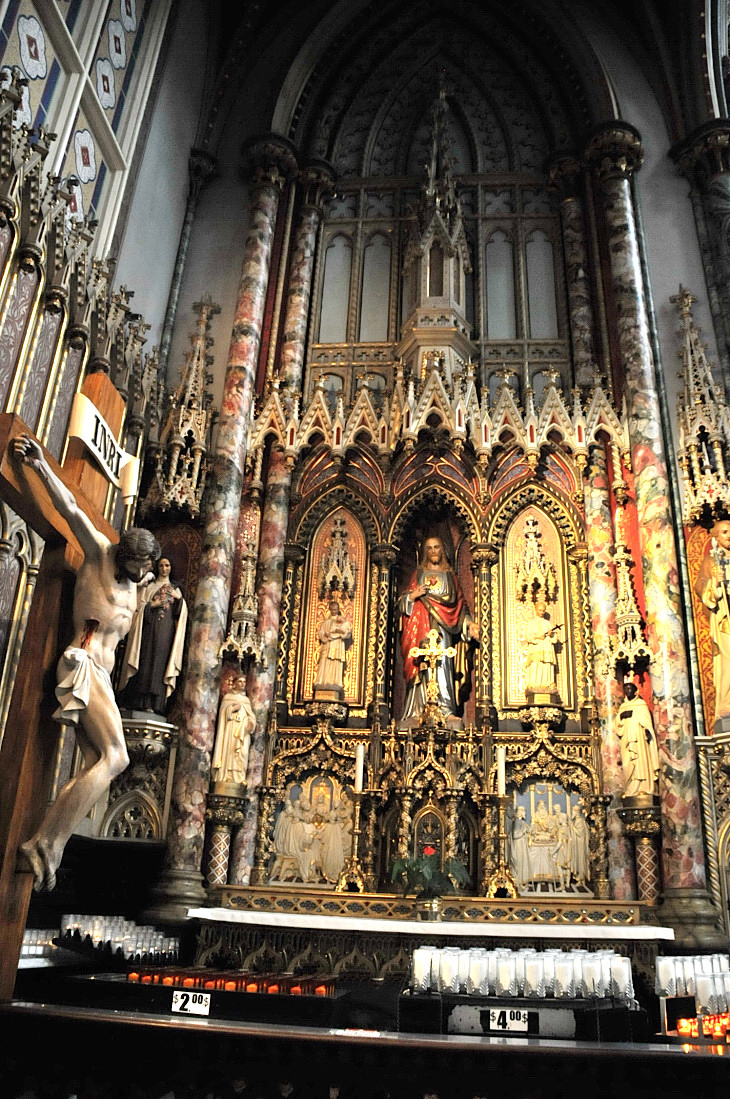 2016-7-25canadaherb 246_01.JPG